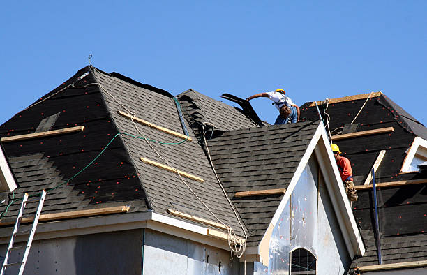 Best Roof Moss and Algae Removal  in Pinewood Estates, TX